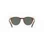 Occhiali Persol PO 3152S 901531 49/20/145