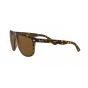 Occhiali Ray Ban RB 4147 710/57 60/15/145 BOYFRIEND